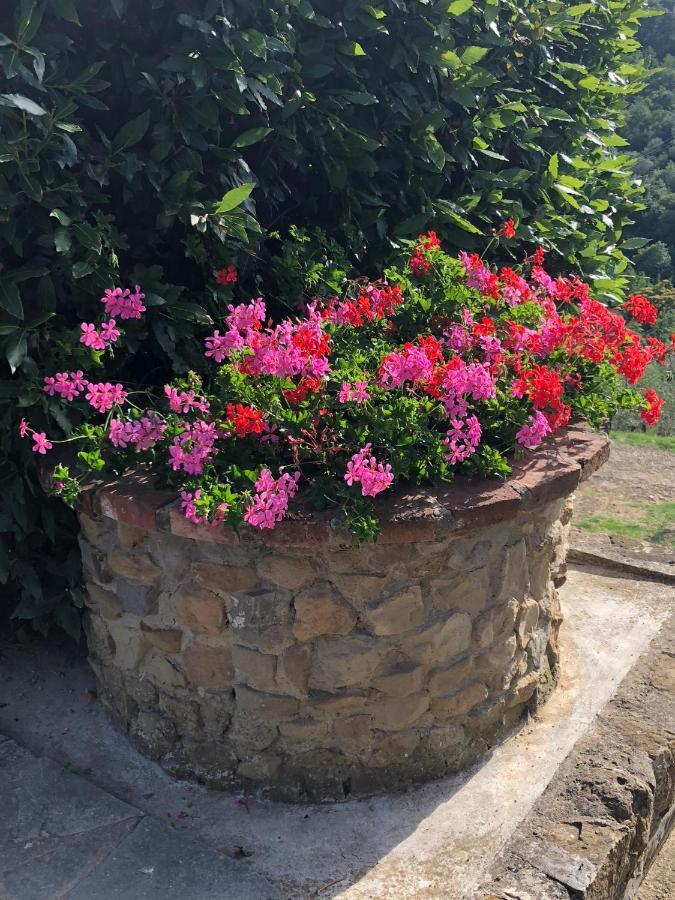 Agriturismo La Casella Castelfranco di Sopra Екстер'єр фото